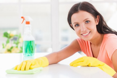 Professional rug cleaning service for Finsbury Park homes