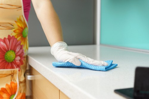 Inclusive Cleaner Finsburypark area website with readable content