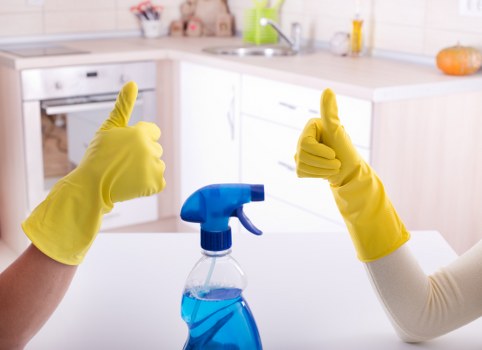 Domestic cleaning service for a flat in Finsbury Park