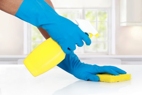 Cleaner detailing a kitchen during move-out cleaning in Finsburypark