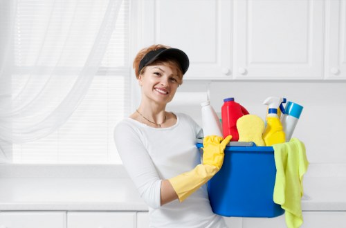 Professional stain removal for carpets in a Finsbury Park home