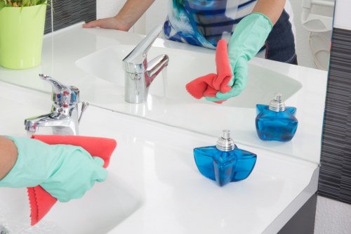 Deep carpet cleaning equipment for a home in Finsbury Park