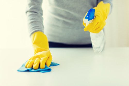 Deep cleaning support for homes near Finsbury Park