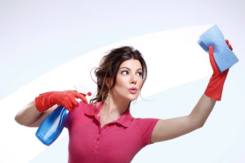 Pet stain odour removal service for homes and businesses near Finsburypark
