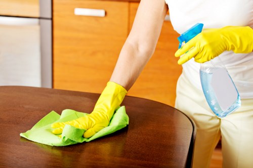 Local carpet cleaner working in a Finsbury Park flat with stair access