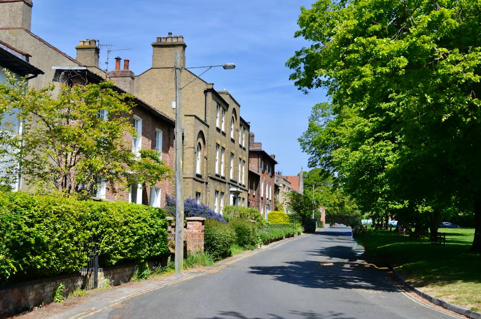 A quiet residential street with brick terraced houses featuring large windows, some with decorative arches, and small front gardens bordered by low brick walls with lush green shrubs and colorful flowering plants. The street is paved with asphalt and lined with tall, leafy trees casting shade over the roadway. A lamppost is visible on the left side of the street, and the scene is captured during a bright, clear day with blue skies. Cleaner Finsbury Park specializes in surface cleaning and deep cleaning for homes and businesses, ensuring hygiene and sanitisation of surfaces such as floors, windows, and counters in properties along Stroud Green Road, N4, Finsbury Park.