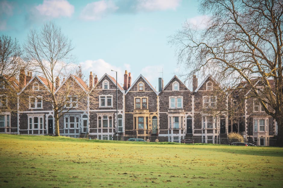 A residential street in Finsbury Park, featuring a row of historic red-brick Victorian buildings with white decorative details, bay windows, and black wrought-iron railings. The street is lined with parked cars including sedans and hatchbacks, and has a clear, paved road with white dashed lines and pedestrian crossing markings. Green trees with fresh leaves canopy the area, and a lamppost stands near the corner. Bright daylight illuminates the scene, highlighting the cleanliness and well-maintained appearance of the neighborhood, as potentially cleaned and maintained by Cleaner Finsbury Park in alignment with residential and surface cleaning services.